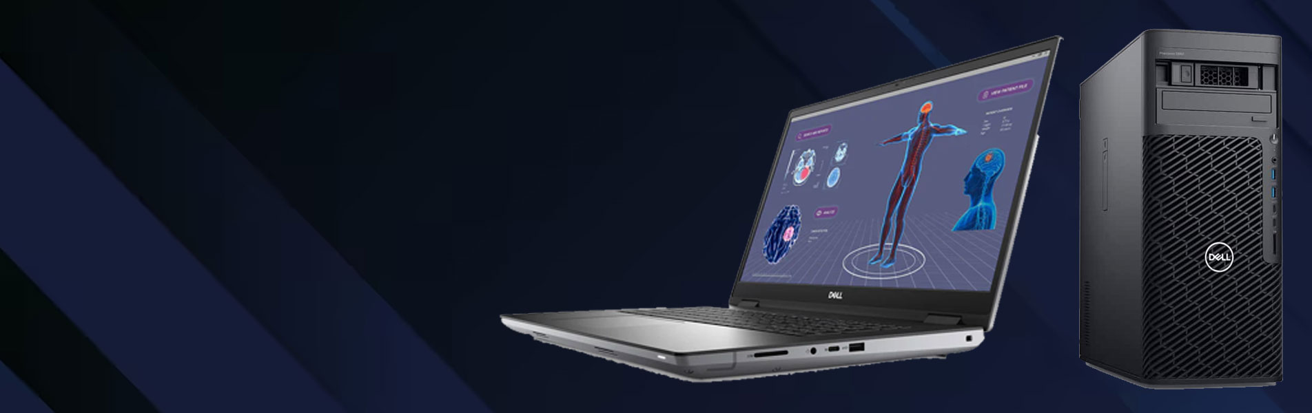 Shop Our New Collection